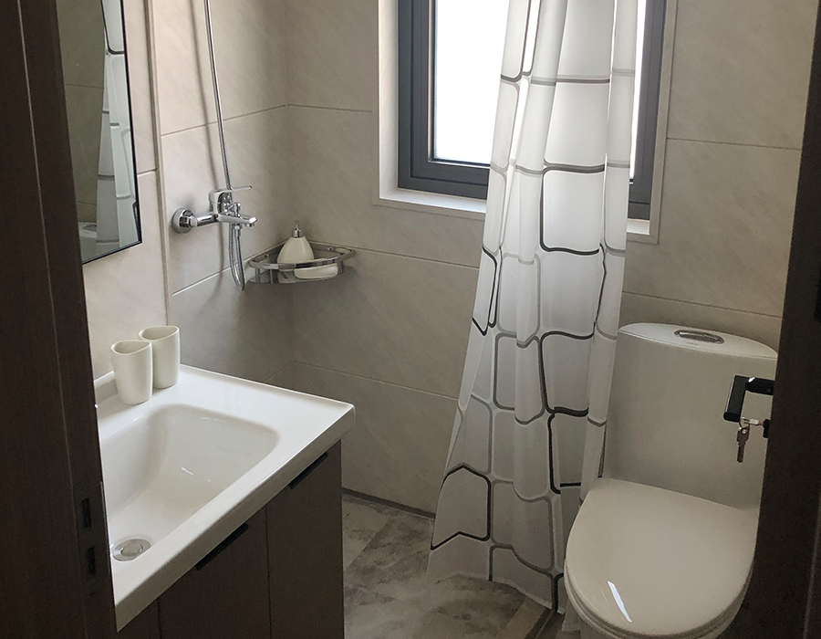 Banheiros sanitários modulares pré-fabricados horizontais da placa da parede do PEC